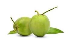 Green Coconut